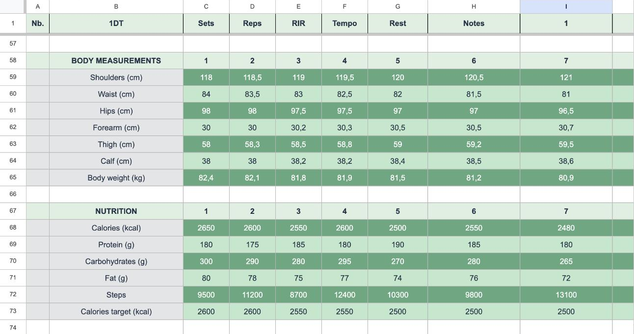 Body measurements, nutrition and cardio tracked underneath the training block.