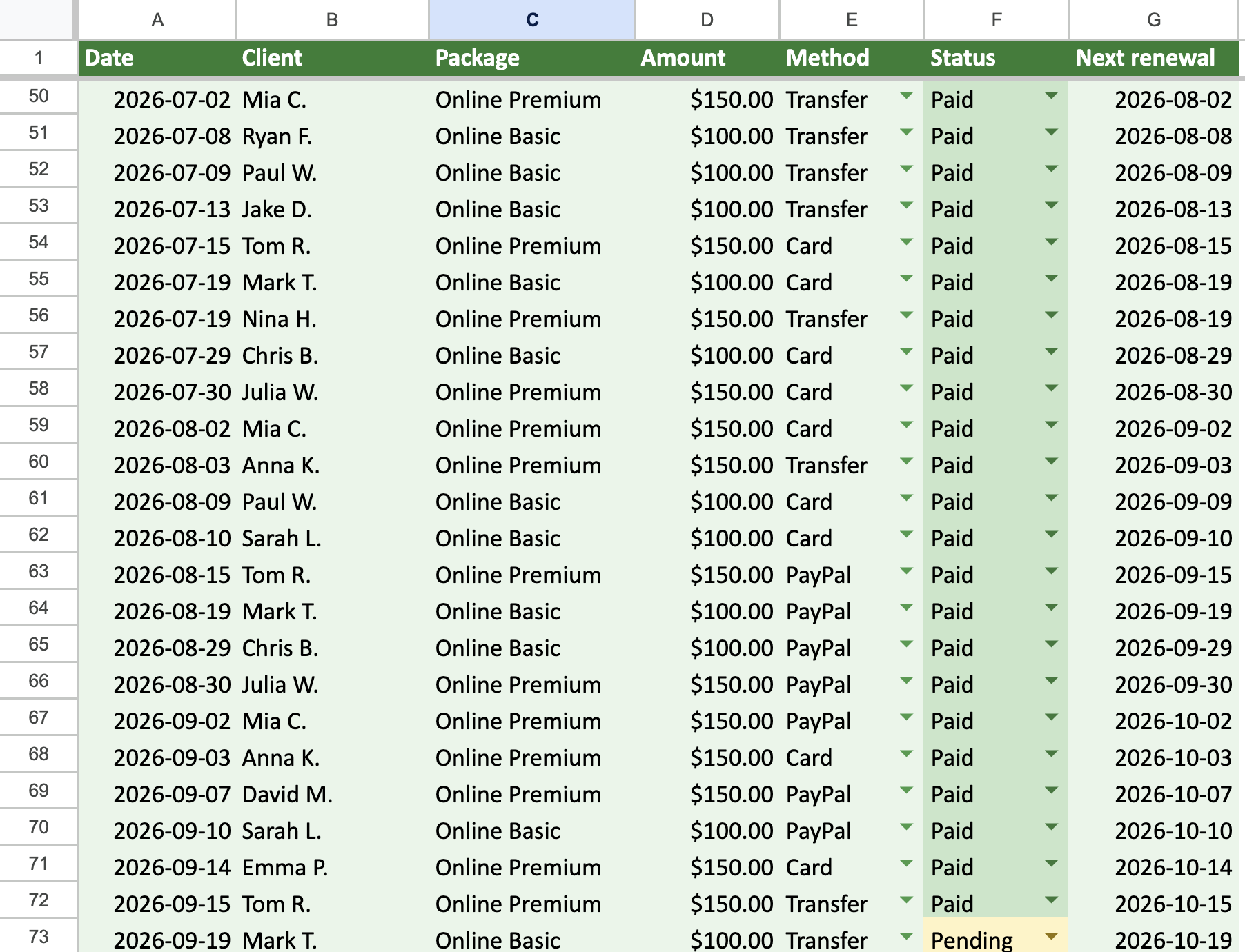 Payments log with package, amount, method and the next renewal date.